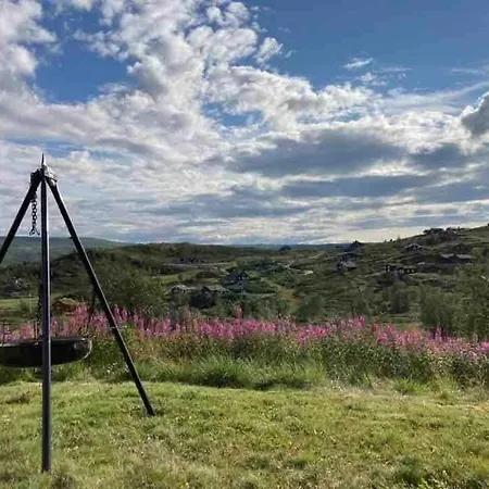 Johnsbu - Unique Log Cabin, Ustaoset Tatil Evi Hol (Buskerud)